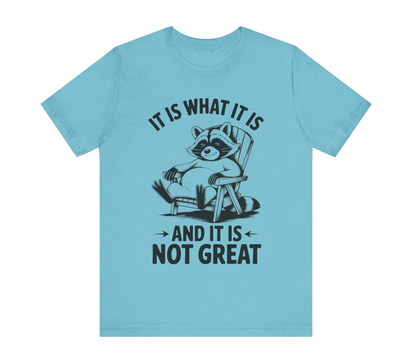 It is What it is and it is Not Great - Funny Raccoon