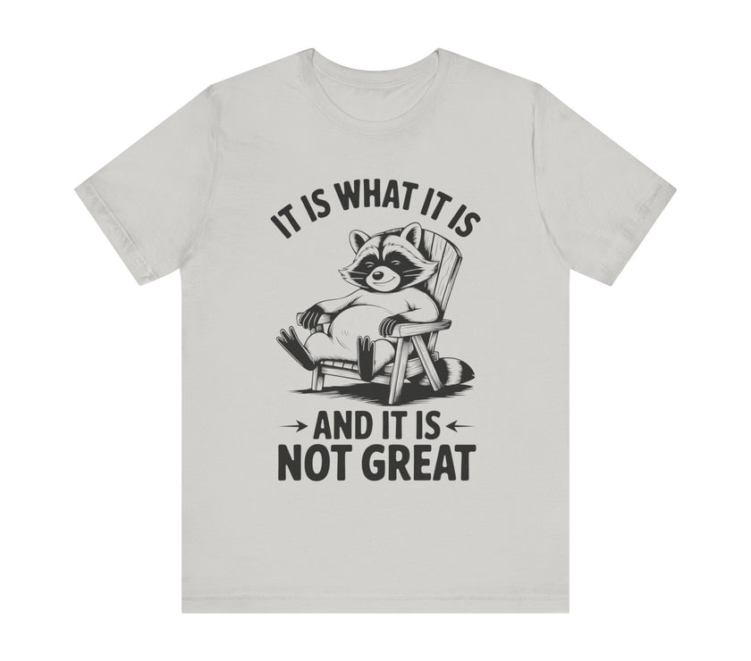 It is What it is and it is Not Great - Funny Raccoon