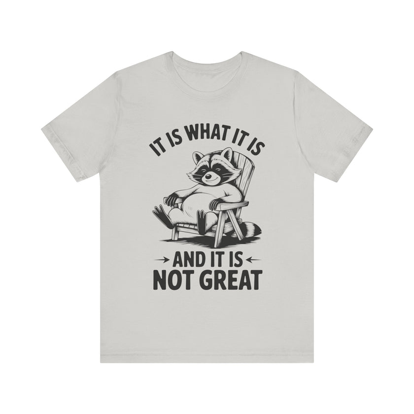 It is What it is and it is Not Great - Funny Raccoon