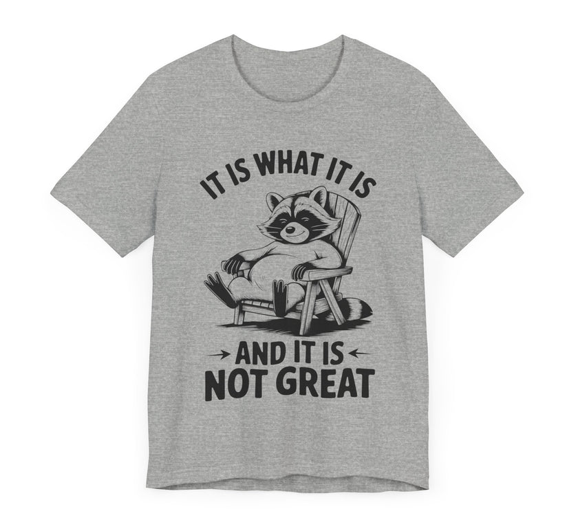 It is What it is and it is Not Great - Funny Raccoon