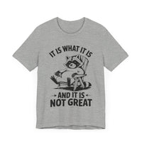 It is What it is and it is Not Great - Funny Raccoon