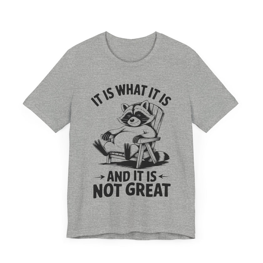 It is What it is and it is Not Great - Funny Raccoon