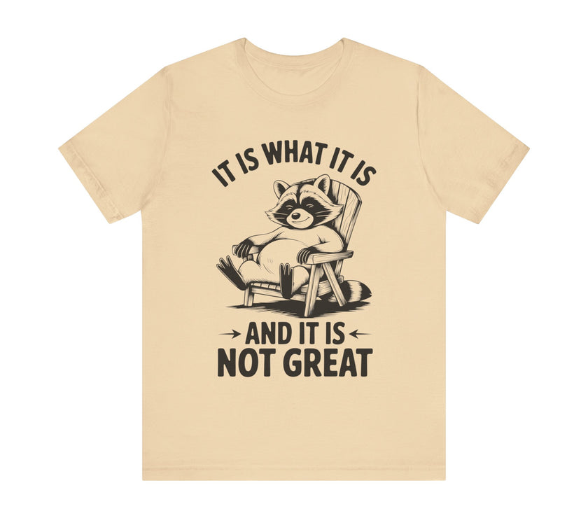 It is What it is and it is Not Great - Funny Raccoon