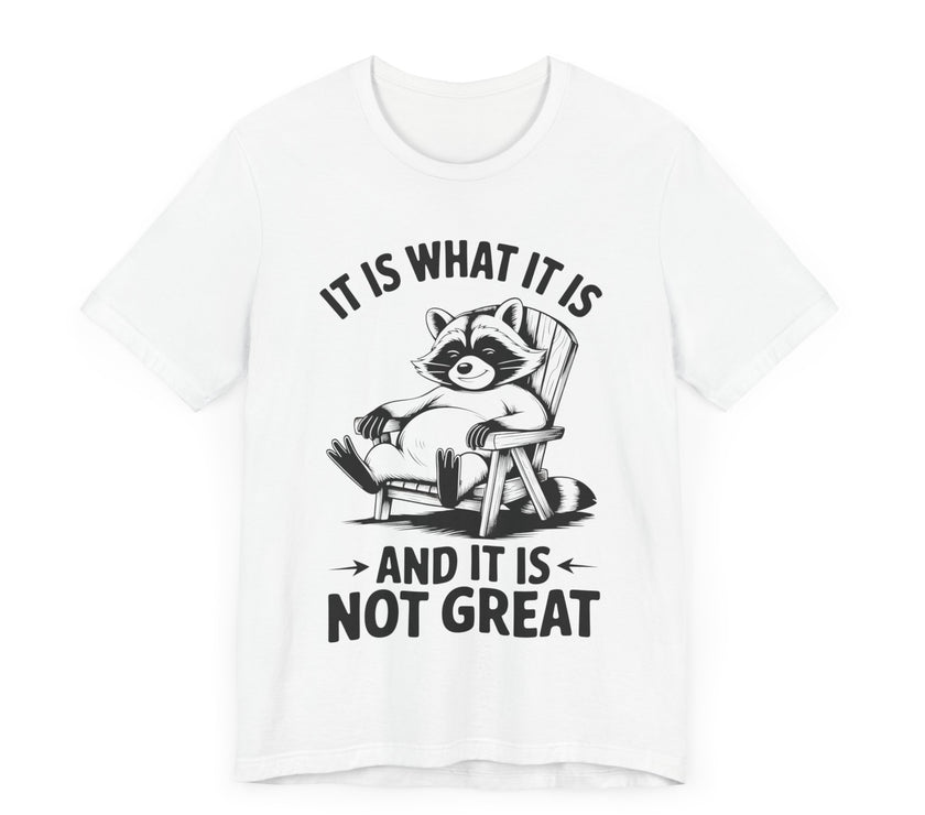 It is What it is and it is Not Great - Funny Raccoon