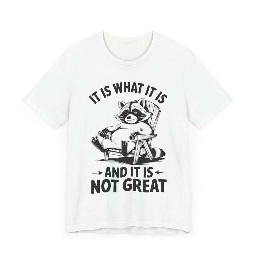 It is What it is and it is Not Great - Funny Raccoon