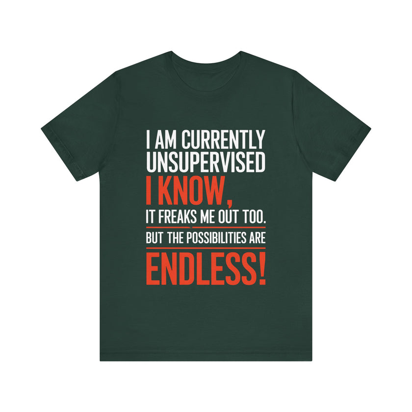 I Am Currently Unsupervised - Funny Chaos Lover T-Shirt