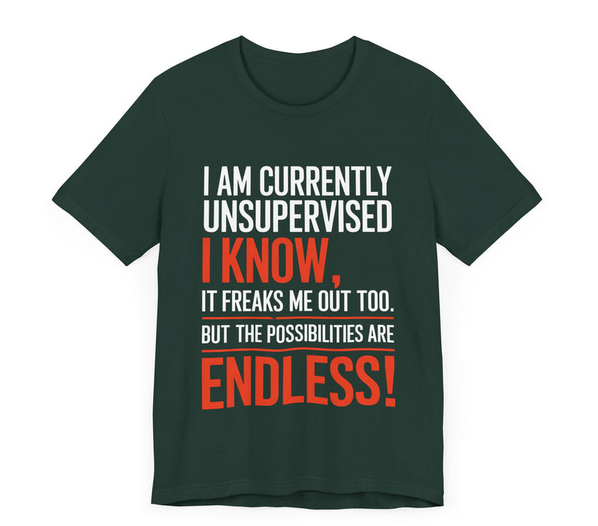 I Am Currently Unsupervised - Funny Chaos Lover T-Shirt