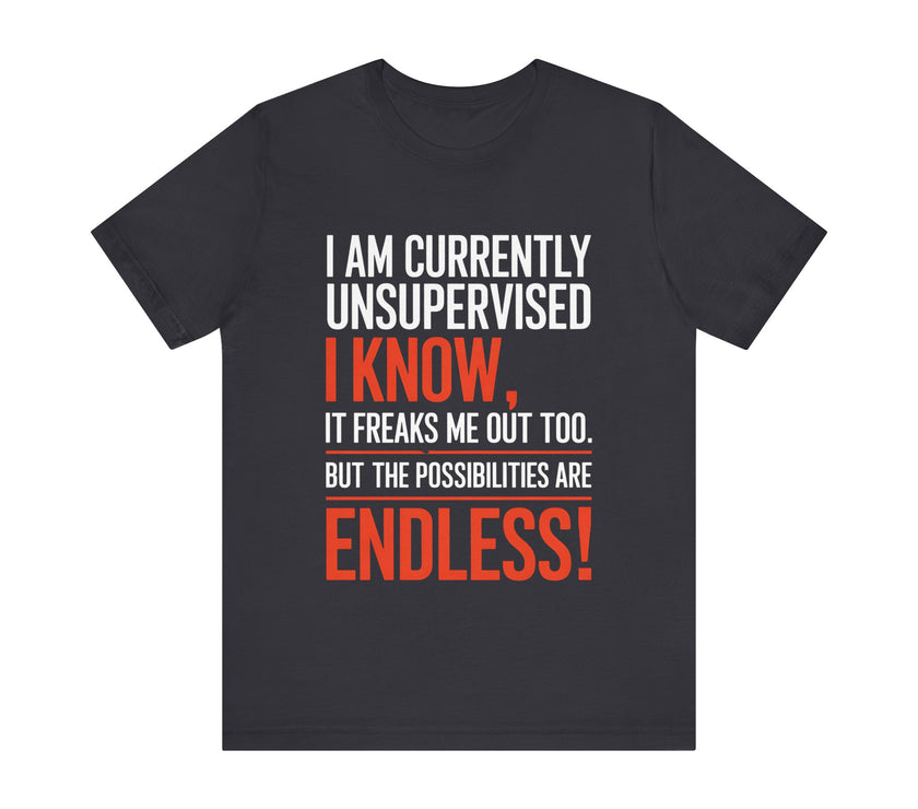 I Am Currently Unsupervised - Funny Chaos Lover T-Shirt