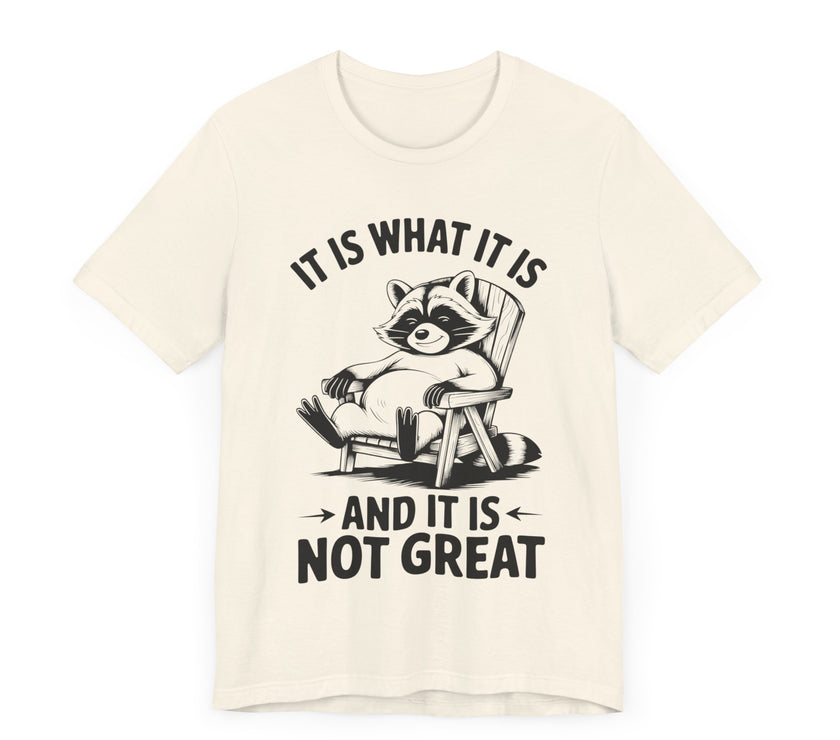 It is What it is and it is Not Great - Funny Raccoon