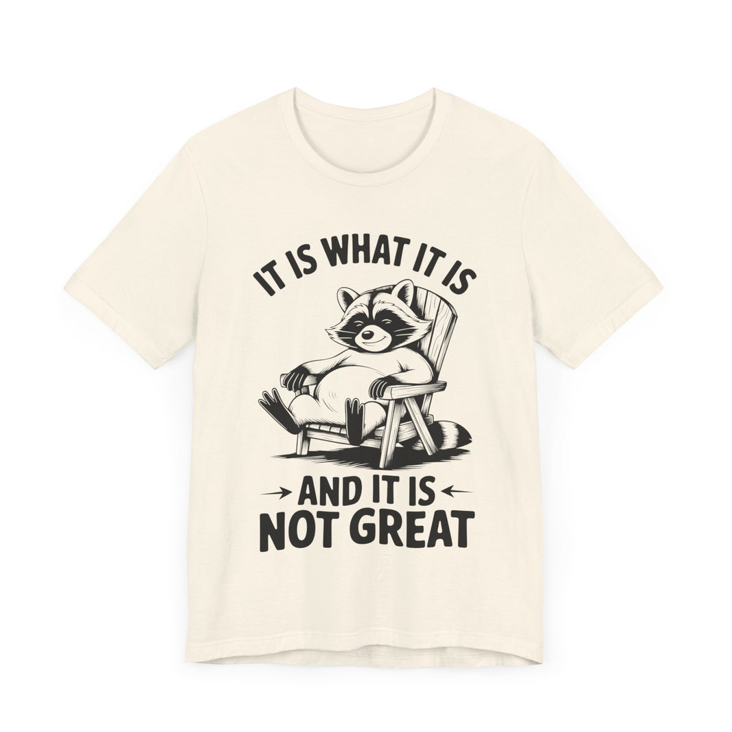 It is What it is and it is Not Great - Funny Raccoon