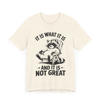 It is What it is and it is Not Great - Funny Raccoon