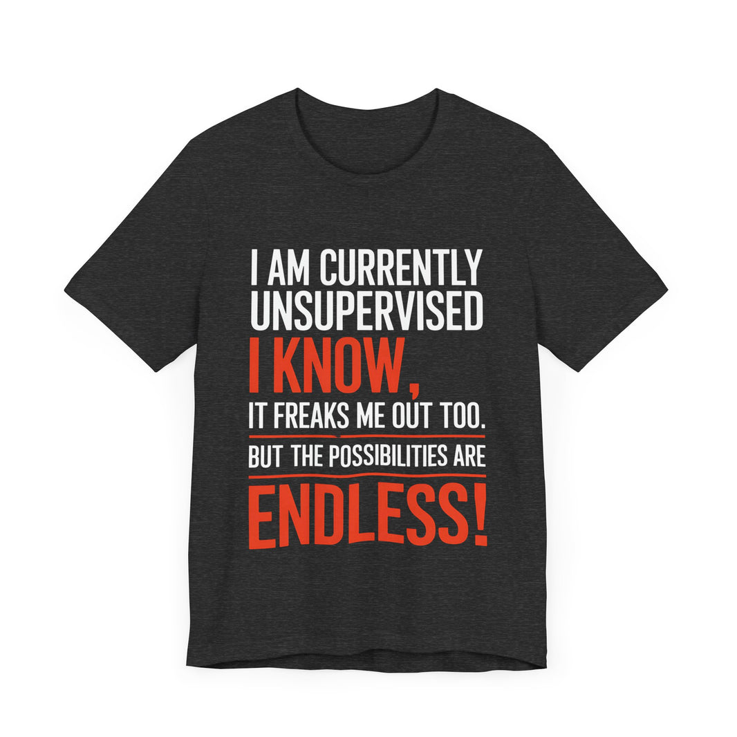 I Am Currently Unsupervised - Funny Chaos Lover T-Shirt